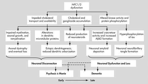 The Neuropsychiatry of Niemann-Pick Type C Disease in Adulthood